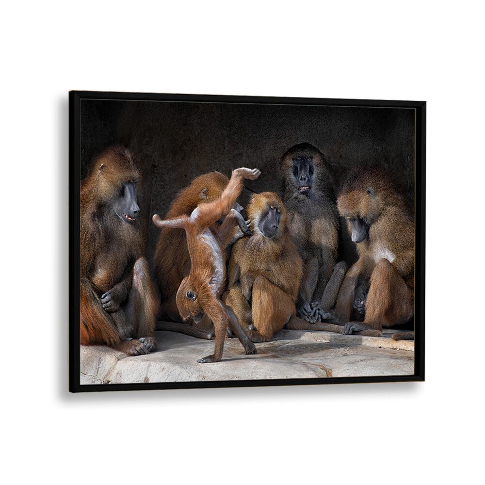 PHOTOGRAPHY painting - FAMILY SCENE - PAPIO PAPIO by Asianmonk