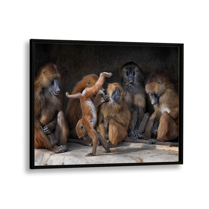 PHOTOGRAPHY painting - FAMILY SCENE - PAPIO PAPIO by Asianmonk