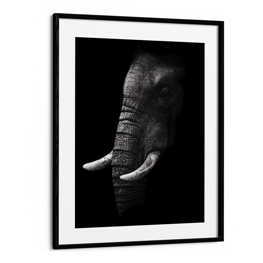 WILD PHOTO ART painting - PORTRAIT OF A ELEPHANT by Asianmonk