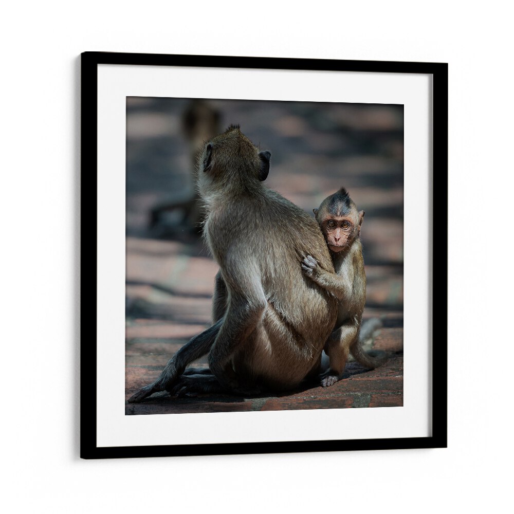 chre painting - BABY MONKEY by Asianmonk