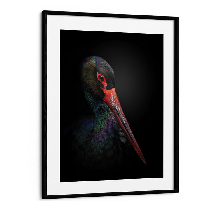 Christian Meermann painting - THE BLACK STORK by Asianmonk