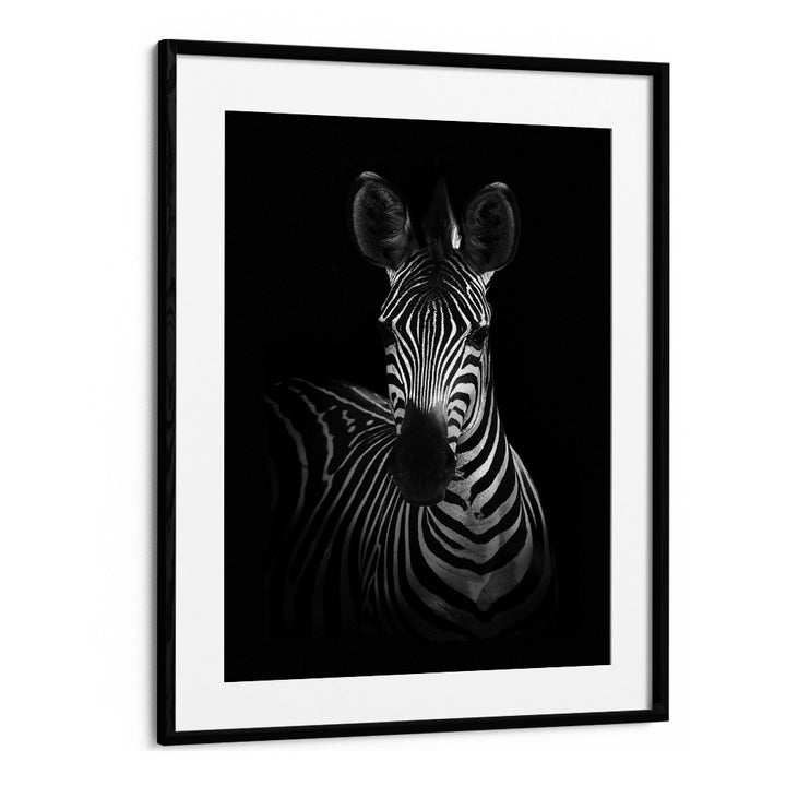 Christian Meermann painting - THE ZEBRA I by Asianmonk