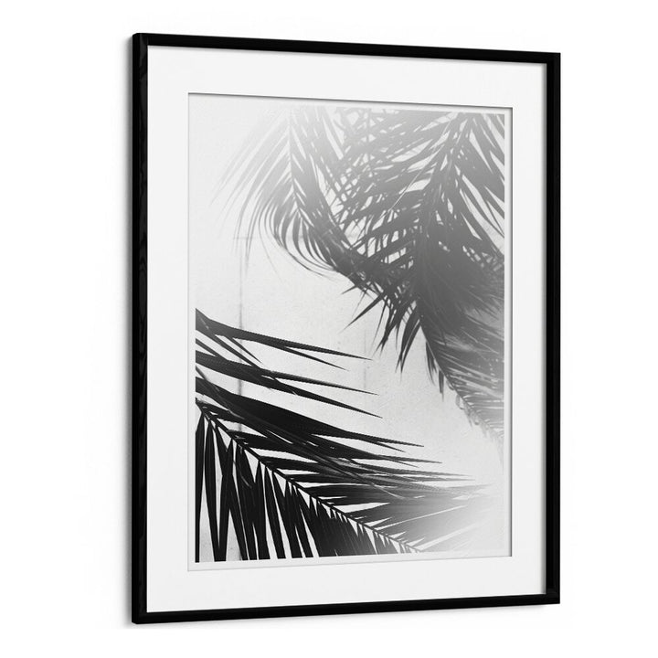 Ritvik Takkar painting - SUMMER PALMS by Asianmonk