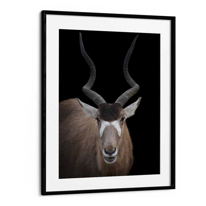 Christian Meermann painting - ADDAX NASOMACULATUS PORTRAIT by Asianmonk