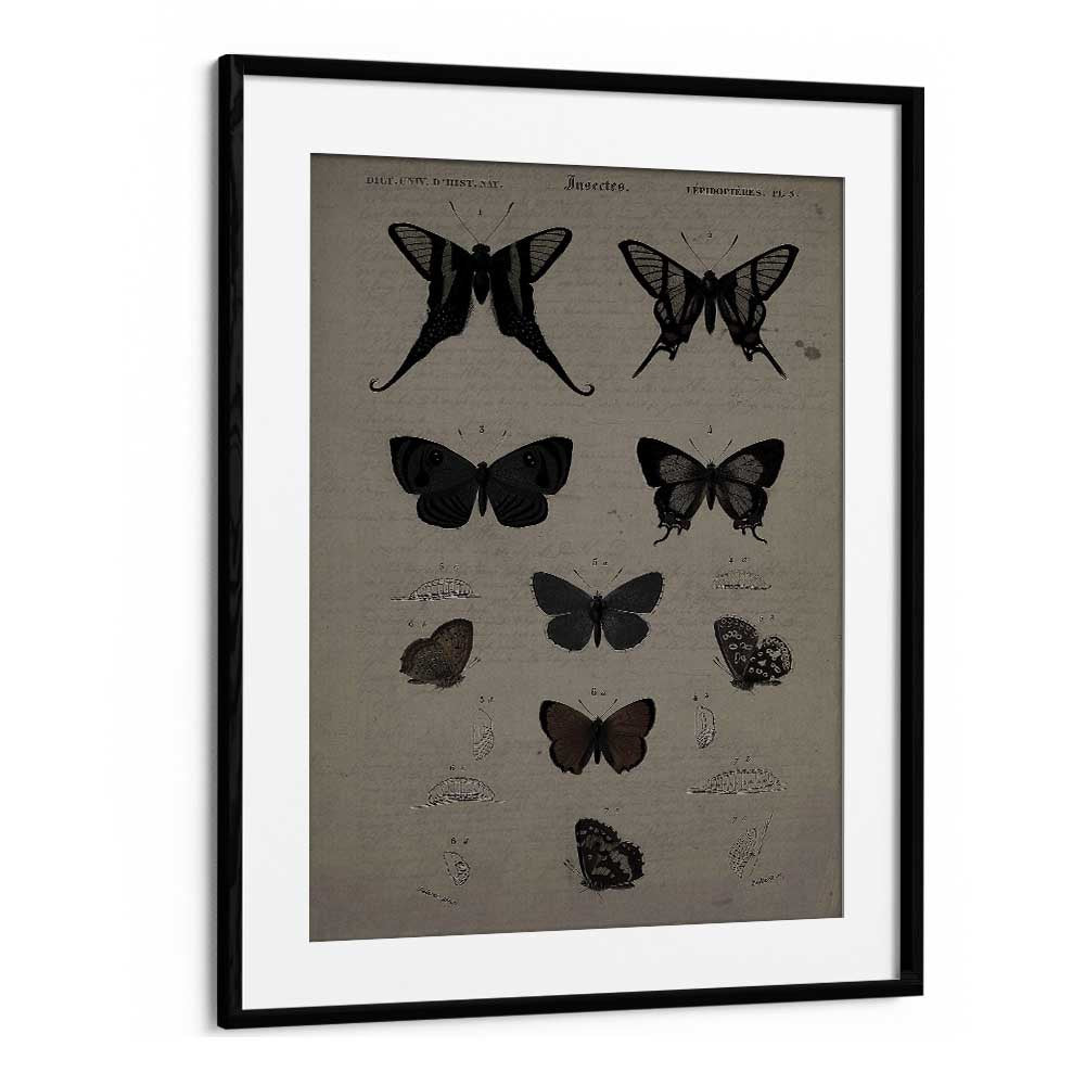 Christian Meermann painting - MYSTICAL MOTHS WINGS OF NIGHT'S EMBRACE by Asianmonk