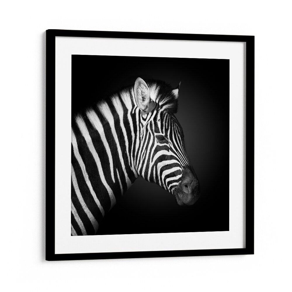 ZEBRA BY FEGARI