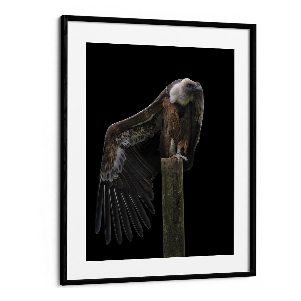 Christian Meermann painting - PROFIL - GRIFFON VULTURE by Asianmonk