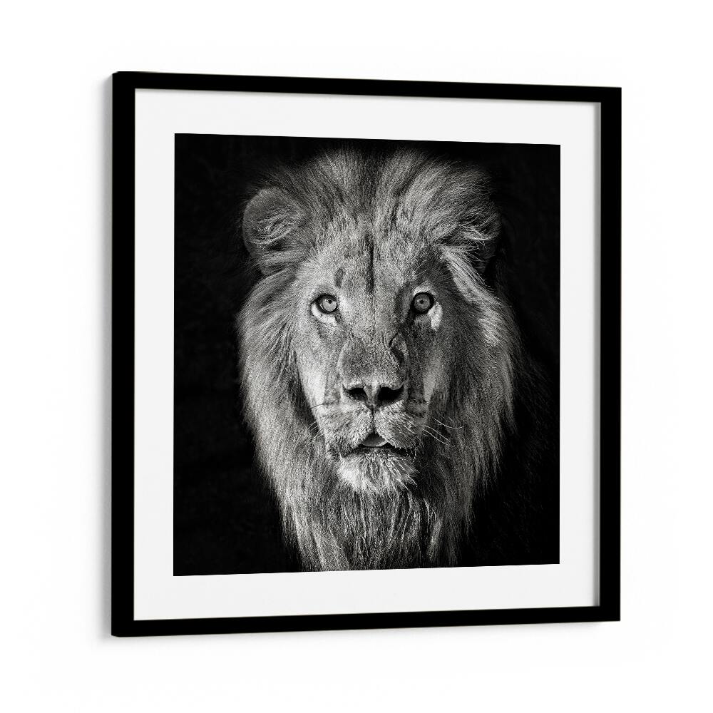 chre painting - LION PORTRAIT- PANTHERA LEO by Asianmonk