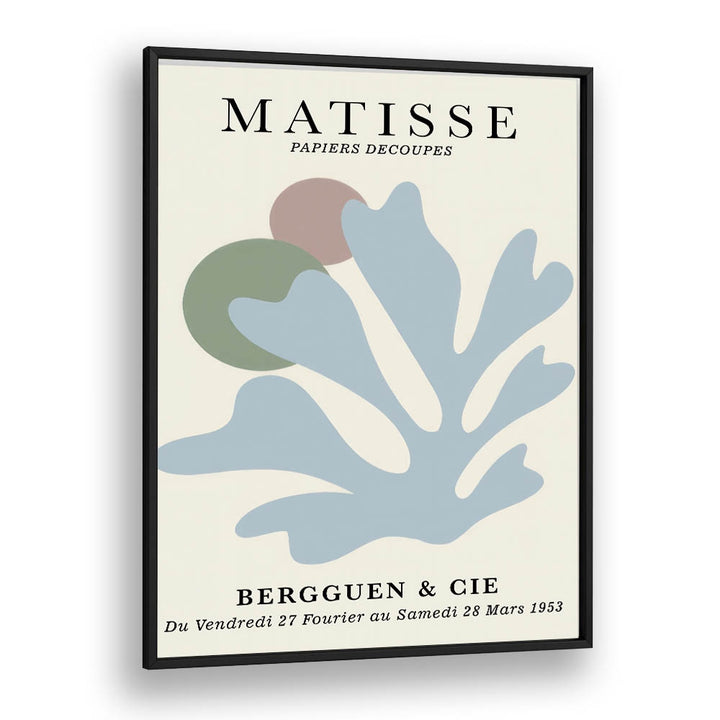 MATISSE II