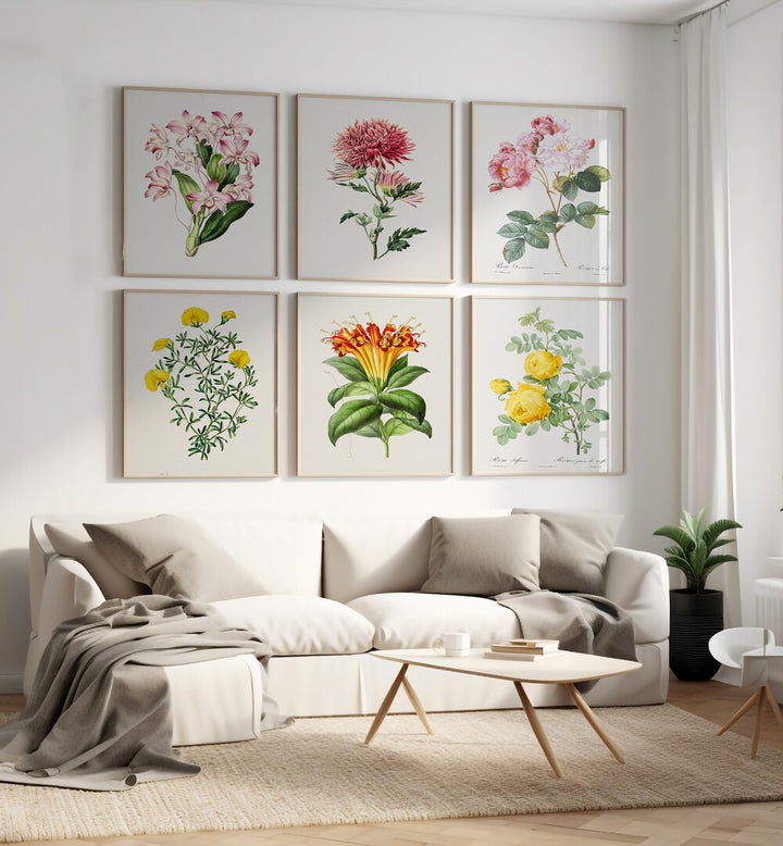 botanical gallery wall set of 6  placed on a wall