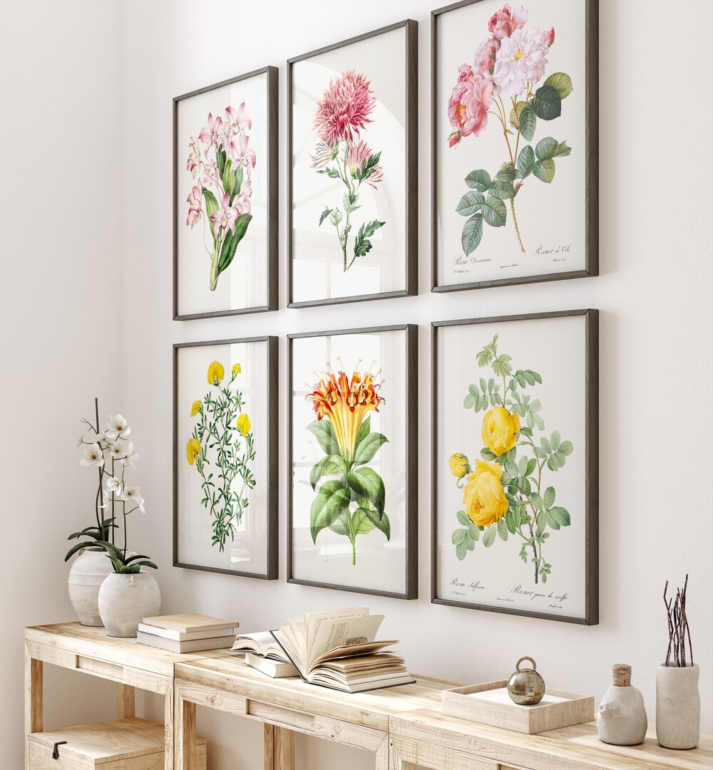 botanical gallery wall set of 6  placed on a wall