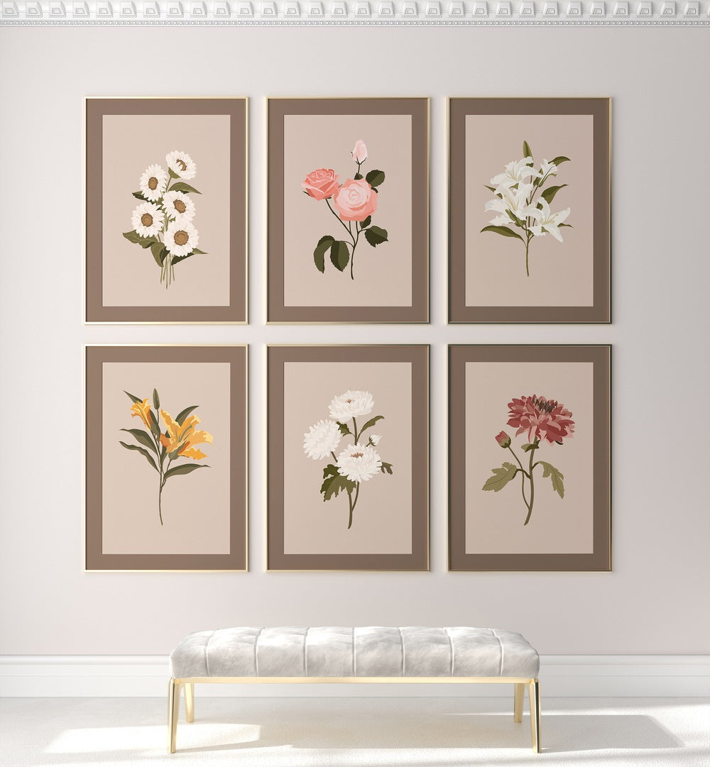 botanicals curatedgallery wall  set of 6  placed on a wall