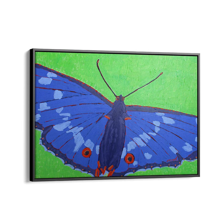 butterfly ii wildlife paintings in Black Floater Frame