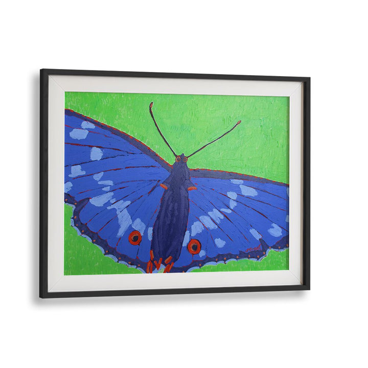 butterfly ii wildlife paintings in Black Frame With Mount