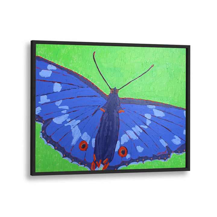 butterfly ii wildlife paintings in Black Plain Frame