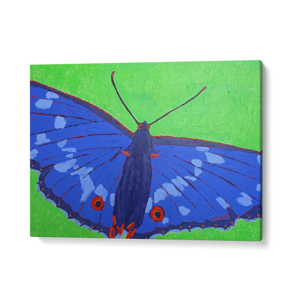 butterfly ii wildlife paintings in Gallery Wrap