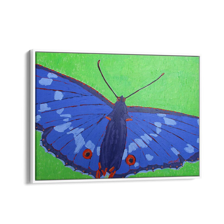 butterfly ii wildlife paintings in White Floater Frame