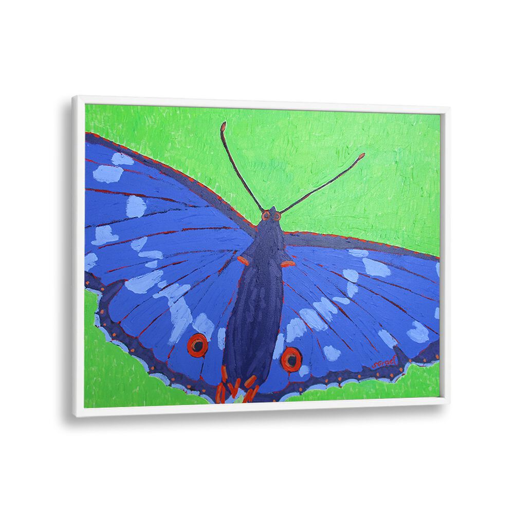 butterfly ii wildlife paintings in White Plain Frame