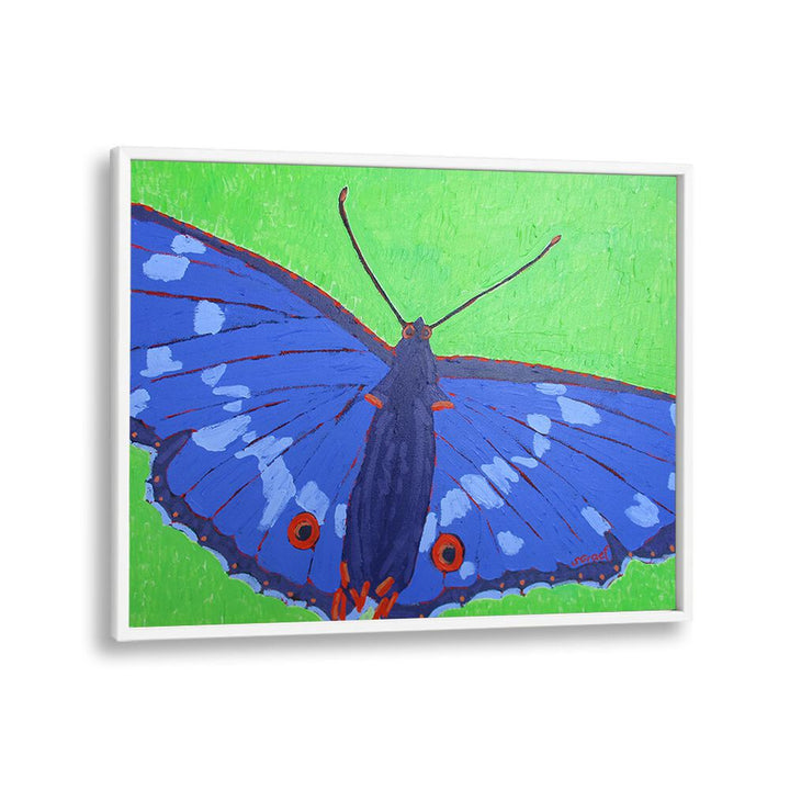 butterfly ii wildlife paintings in White Plain Frame