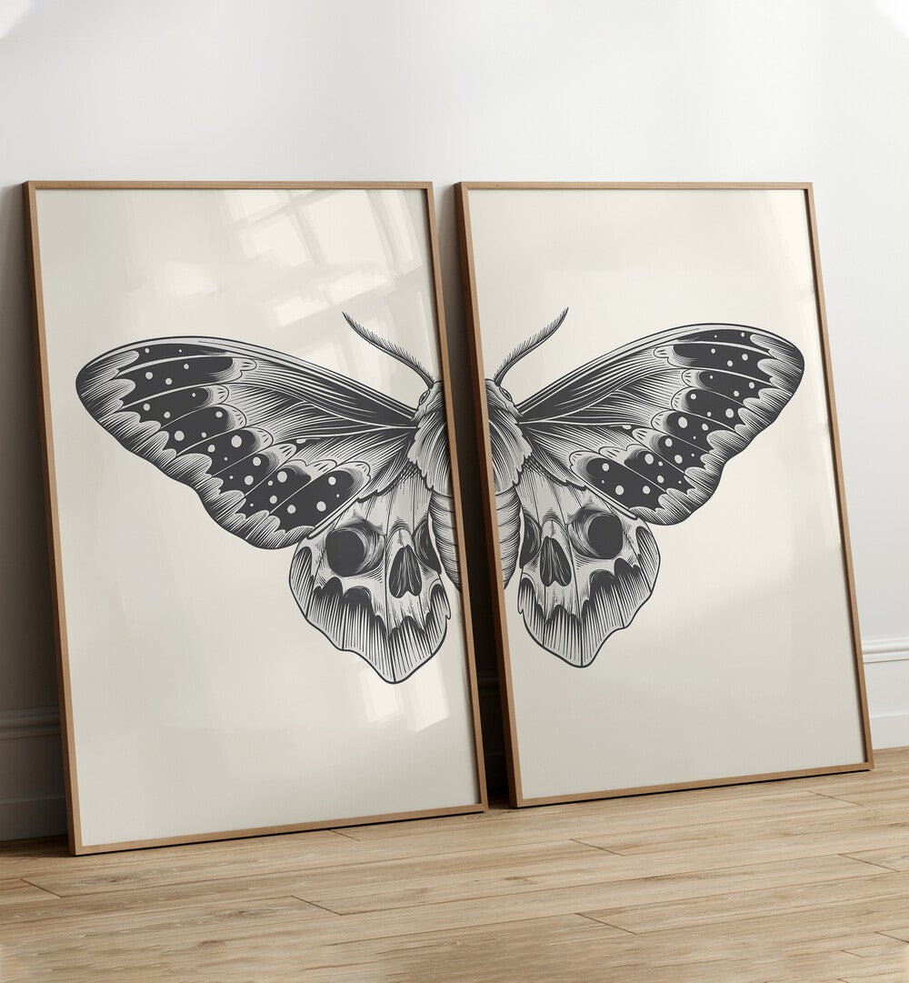 butterfly sketch set set of 2 Artwork IV placed on a wall