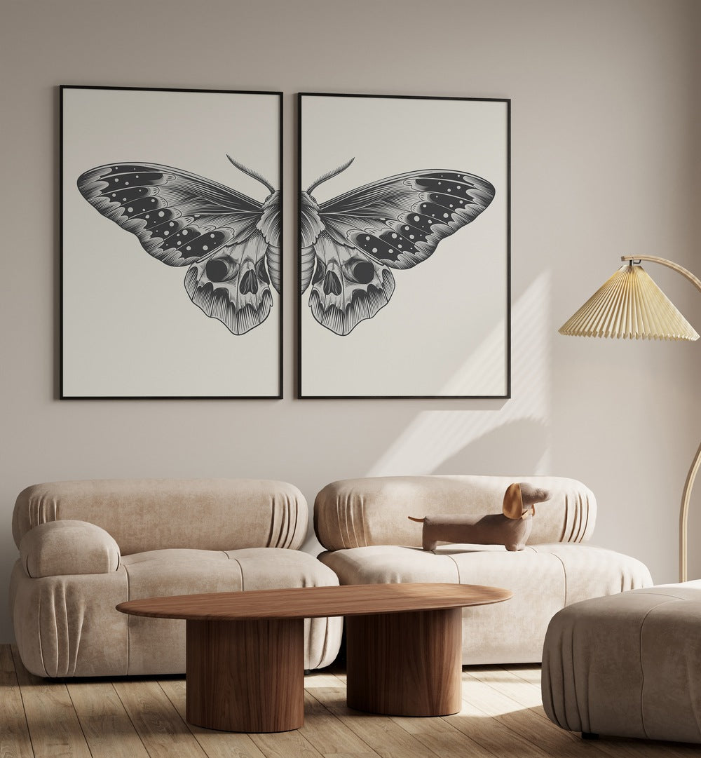 butterfly sketch set set of 2 Artwork V placed on a wall