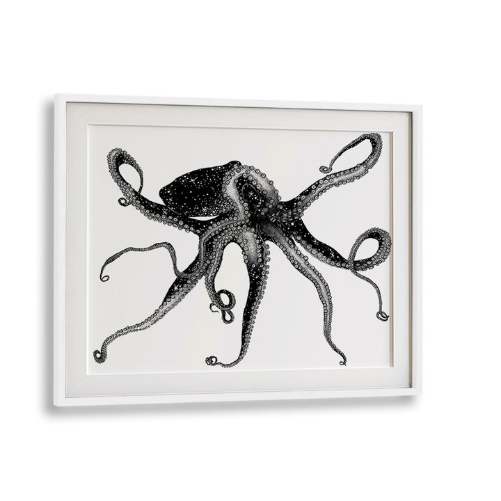 cosmic octopus largeWildlife paintings in White Frame With Mount