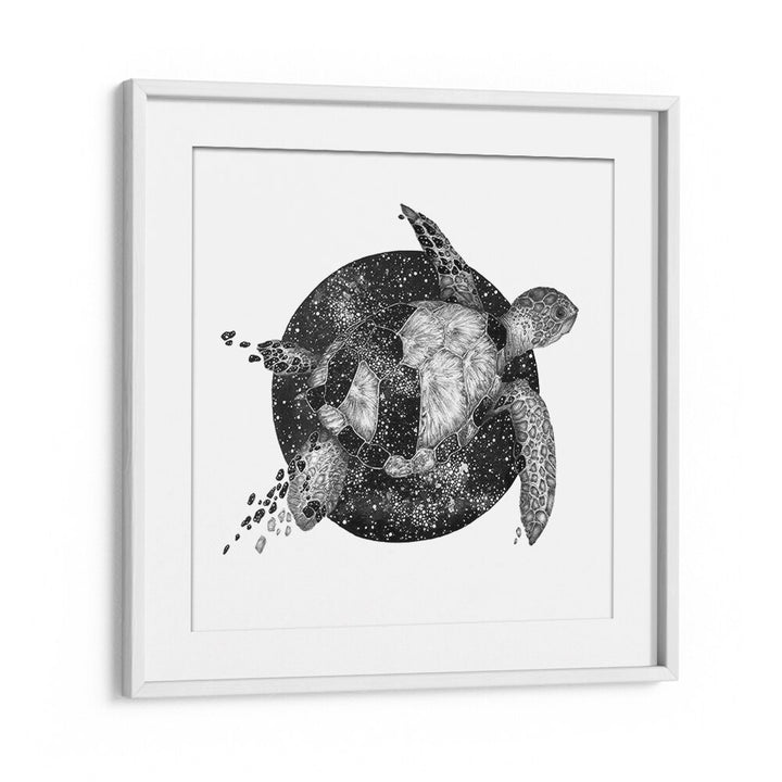 cosmic sea turtle squareVintage paintings in White Frame With Mount