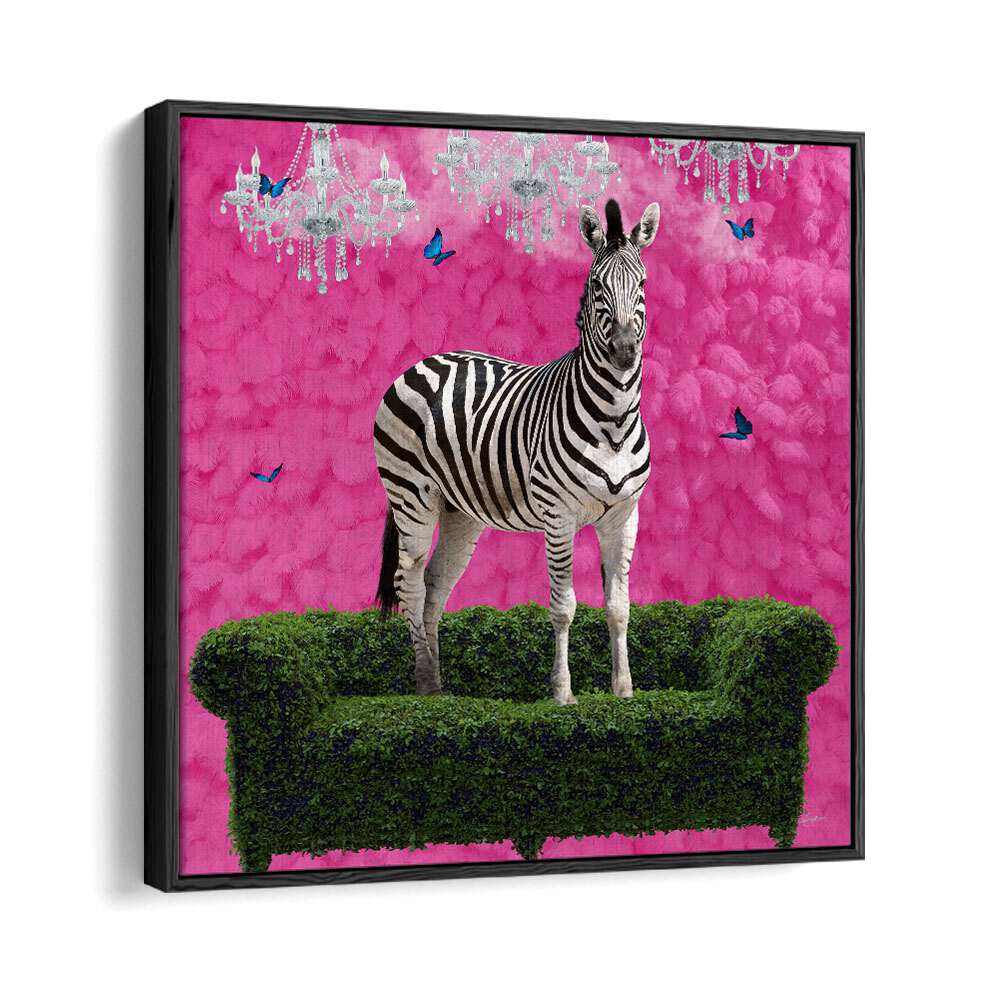 free spirited zebra on a green settee by sue skellern wildlife posters wildlife paintings in Black Floater Frame