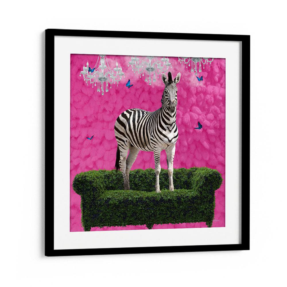 free spirited zebra on a green settee by sue skellern wildlife posters wildlife paintings in Black Frame With Mount