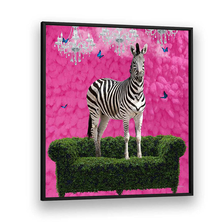 free spirited zebra on a green settee by sue skellern wildlife posters wildlife paintings in Black Plain Frame