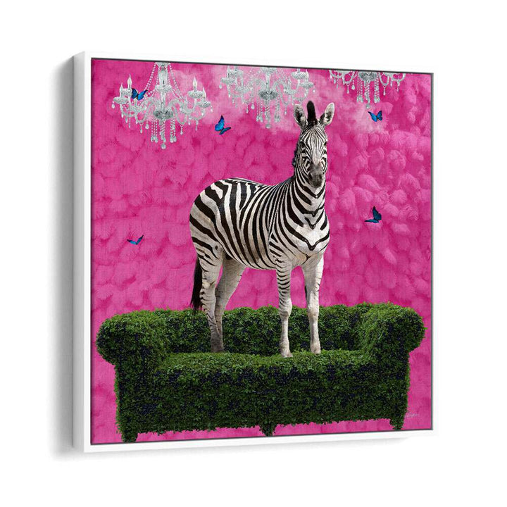 free spirited zebra on a green settee by sue skellern wildlife posters wildlife paintings in White Floater Frame