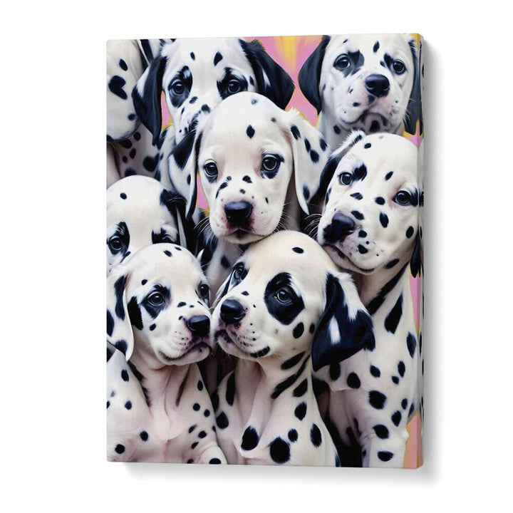 DALMATIAN LOVE