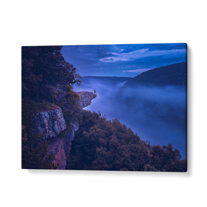 PHOTOGRAPHY painting - WHITAKER POINT by Asianmonk