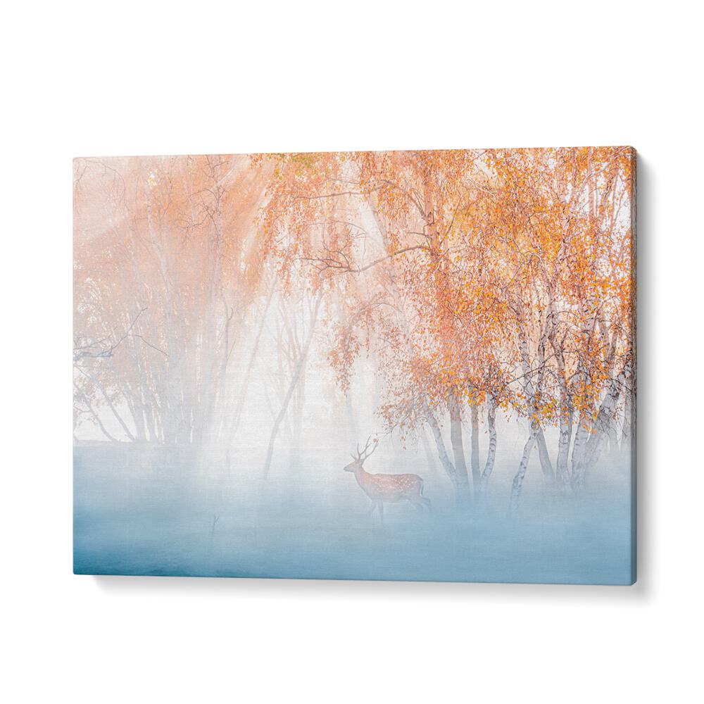 PHOTOGRAPHY painting - DEEP IN FOG by Asianmonk