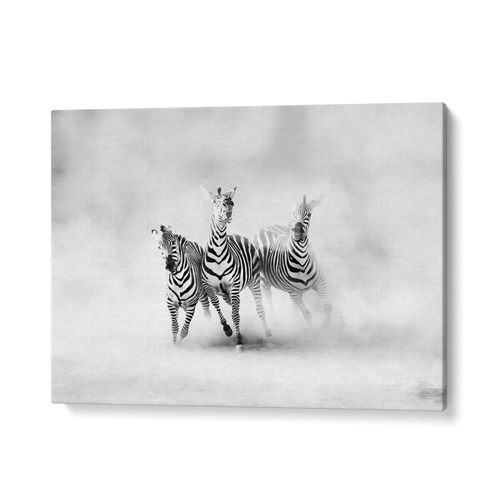 ABSTRACT painting - ZEBRAS by Asianmonk