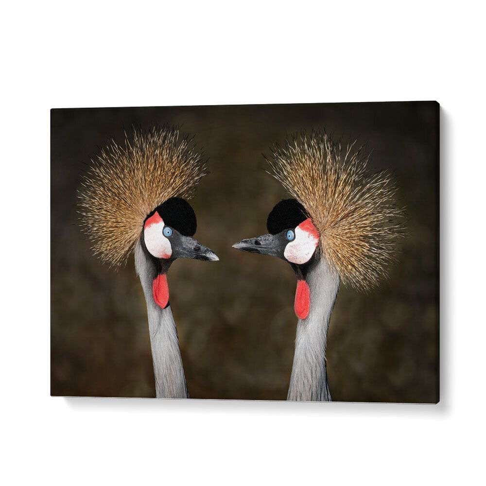 PHOTOGRAPHY painting - GREY CROWNED CRANES APPOINTMENT by Asianmonk