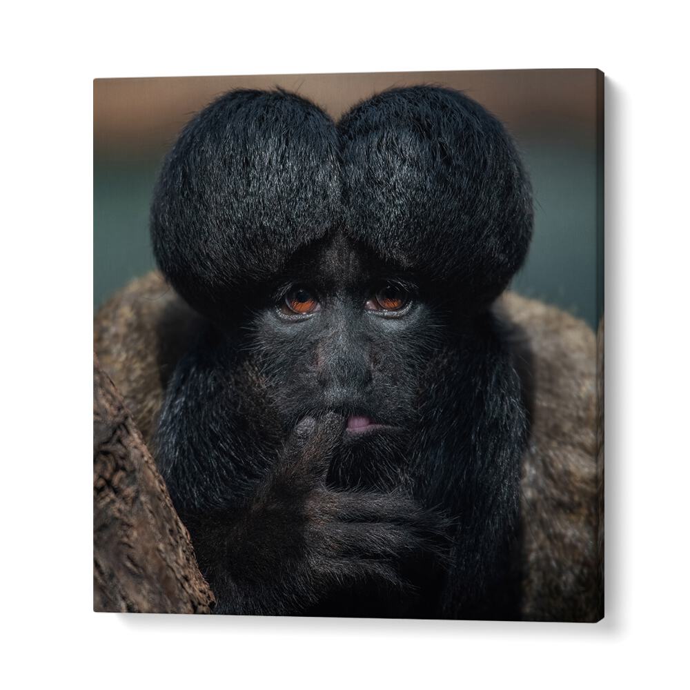 chre painting - RED-BACKED BEARDED SAKI PORTRAIT - CHIROPOTES II by Asianmonk