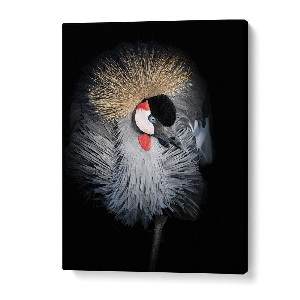 Christian Meermann painting - GREY CROWNED CRANE PORTRAIT by Asianmonk