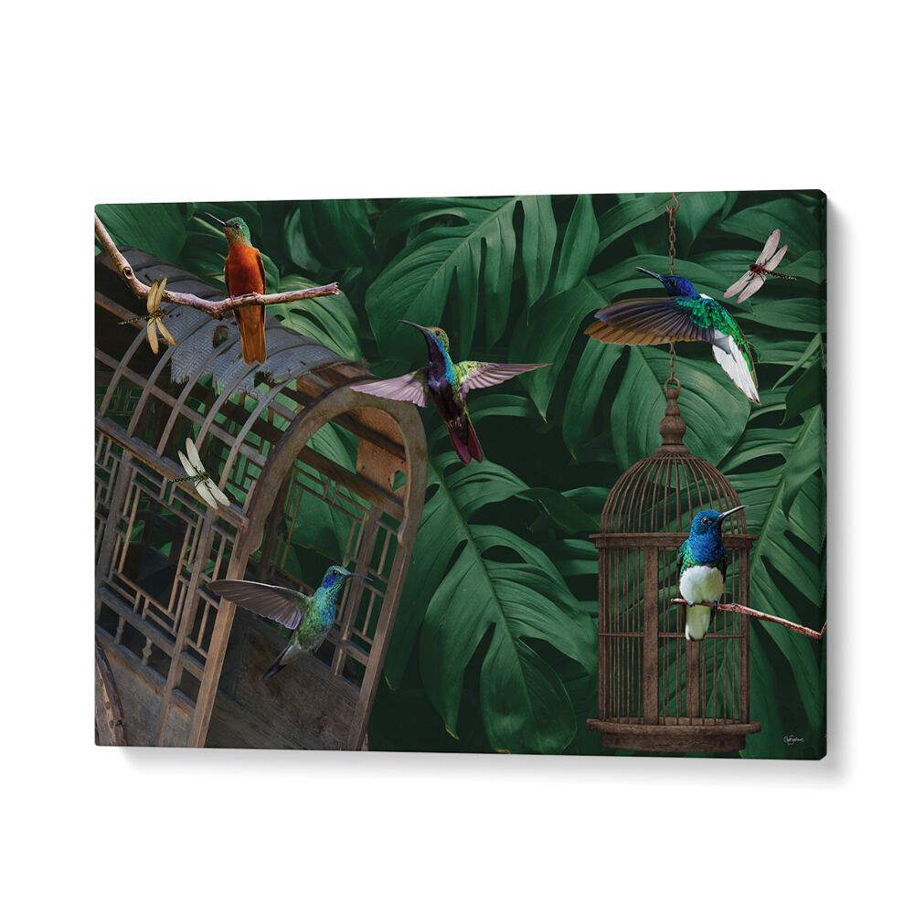 kids painting - TROPICAL HUMMINGBIRDS by Asianmonk