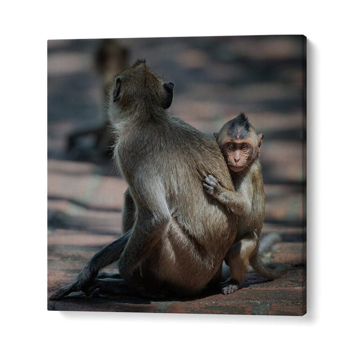 chre painting - BABY MONKEY by Asianmonk