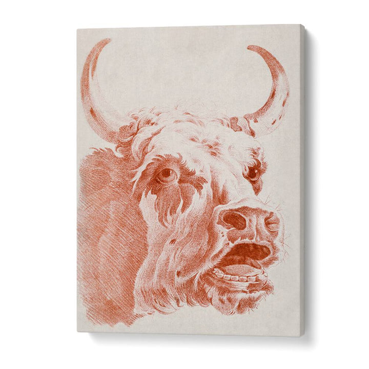HEAD OF A COW (CA.1778)