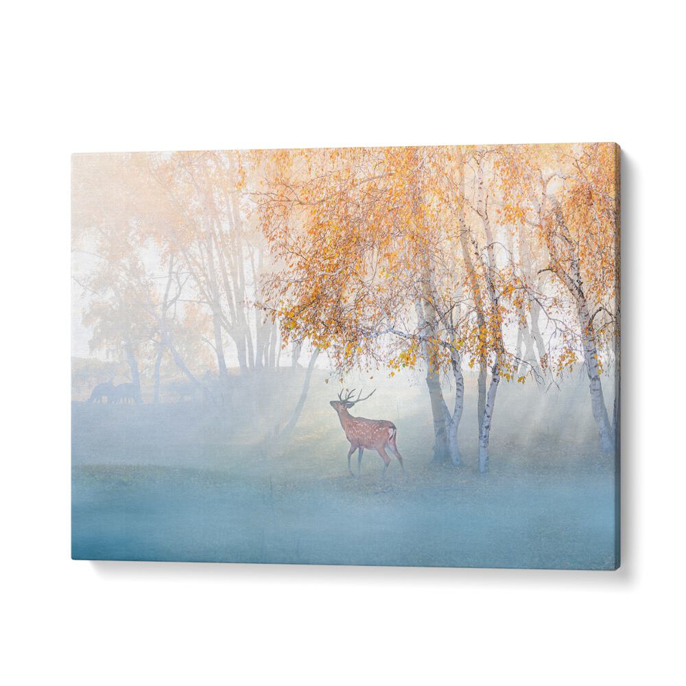 PHOTOGRAPHY painting - ELK LOST IN MIST by Asianmonk