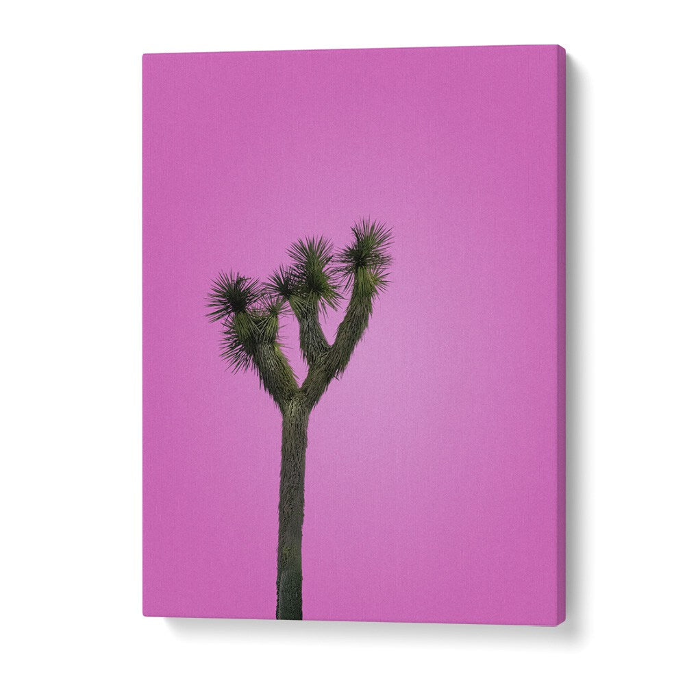 surreal painting - JOSHUA TREE WITH PINK SKY by Asianmonk