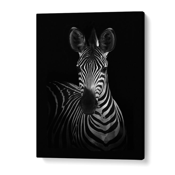 Christian Meermann painting - THE ZEBRA I by Asianmonk