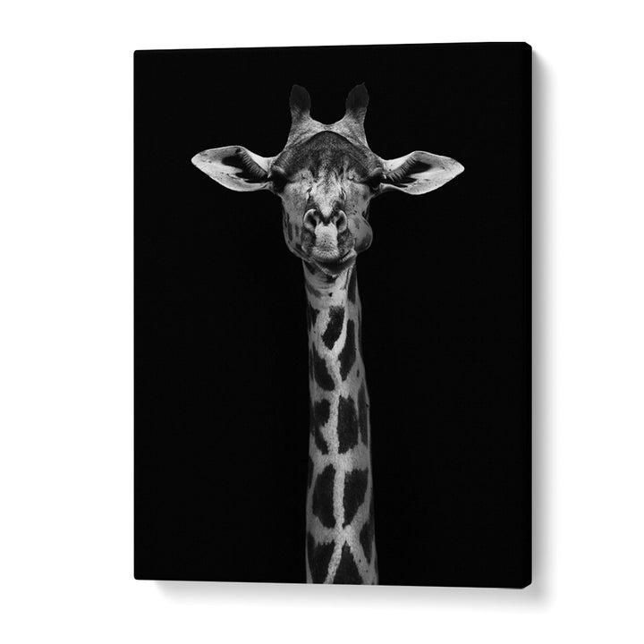 WILD PHOTO ART painting - GIRAFFE PORTRAIT by Asianmonk