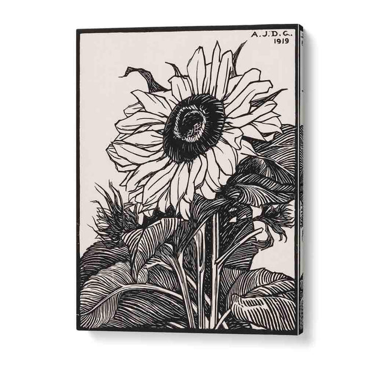 SUNFLOWER (1919)