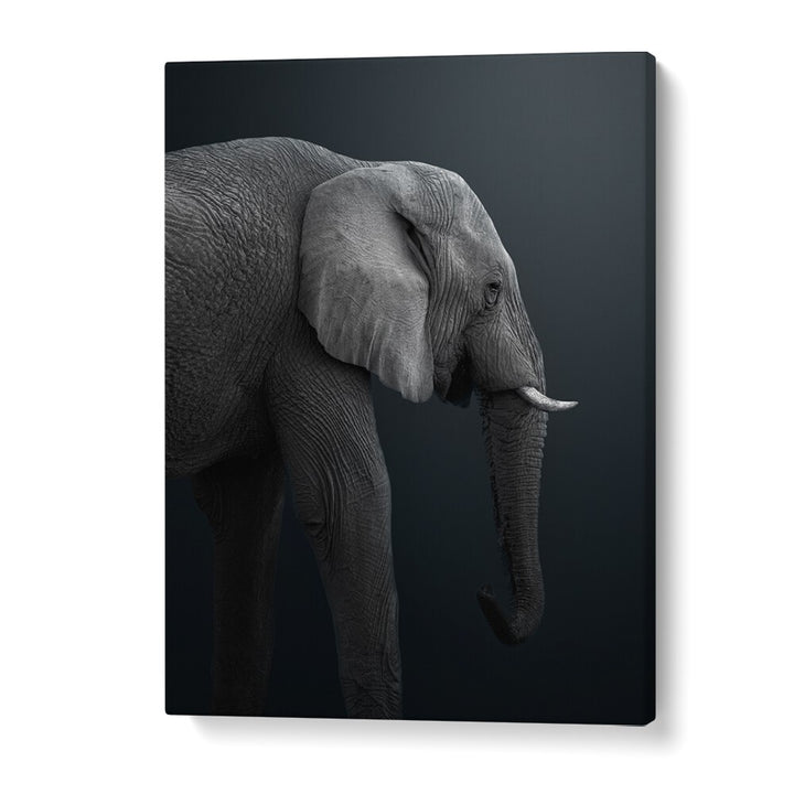 Christian Meermann painting - NAMIBIAN ELEPHANT by Asianmonk