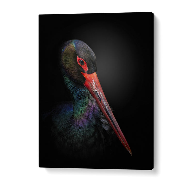 Christian Meermann painting - THE BLACK STORK by Asianmonk