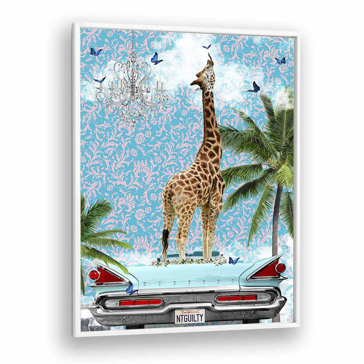 giraffe california dream by sue skellern wall art prints in White Plain Frame