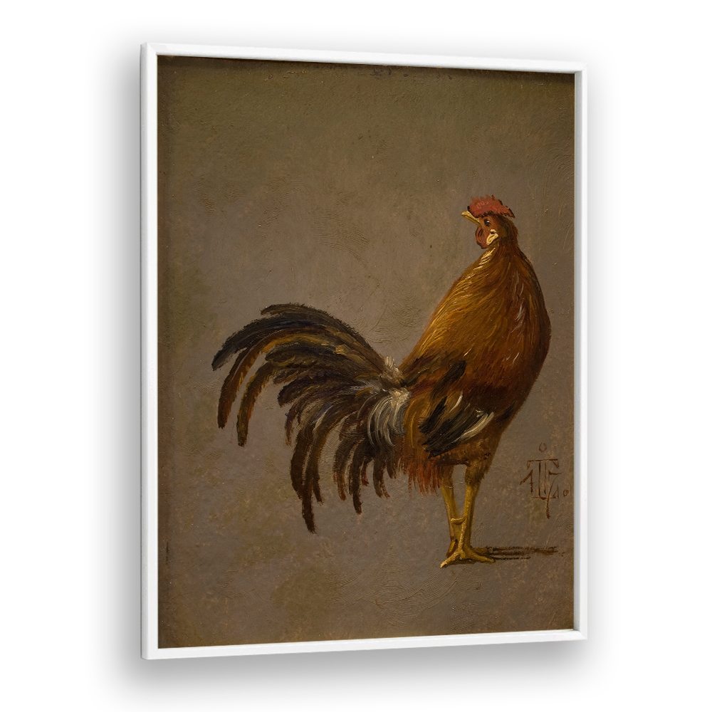 A COCK